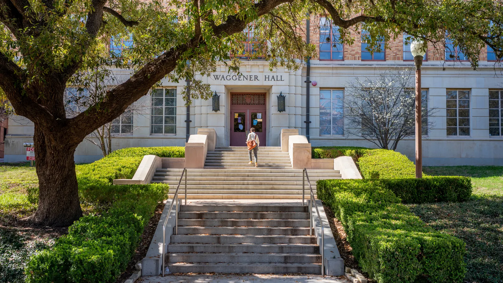university-of-texas-system-considers-restrictions-on-‘controversial’-teaching