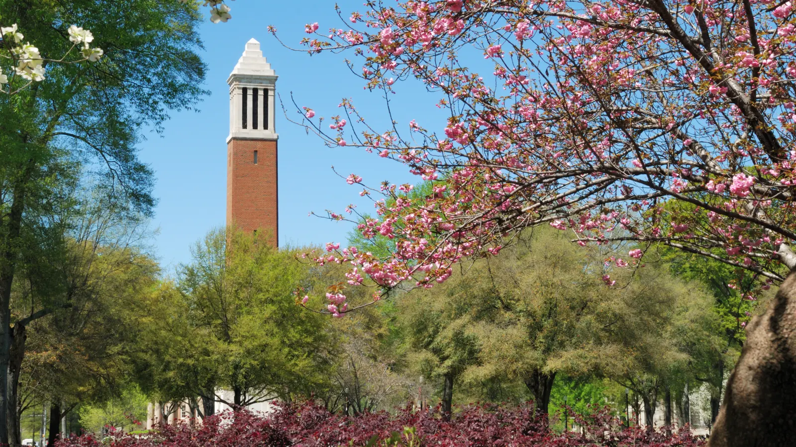 university-of-alabama-students-sue-over-suspended-magazines